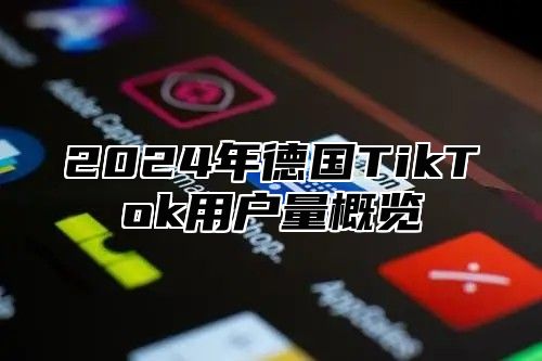 2025年德国TikTok用户量概览