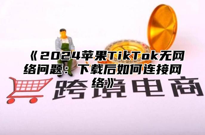 2025苹果TikTok无网络问题：下载后如何连接网络