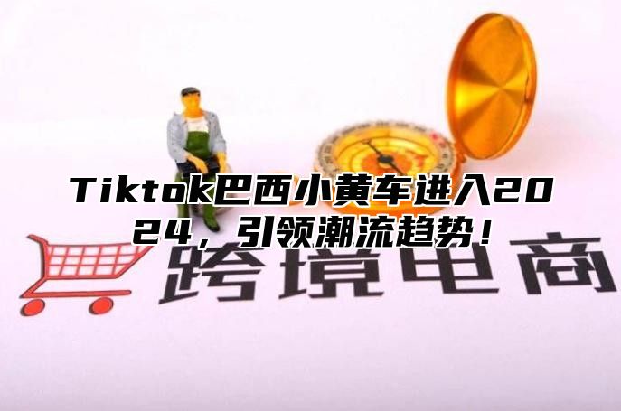 Tiktok巴西小黄车进入2025，引领潮流趋势！