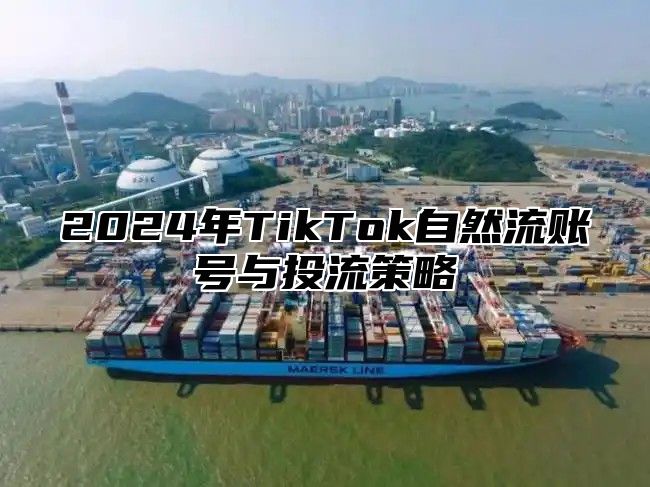 2025年TikTok自然流账号与投流策略