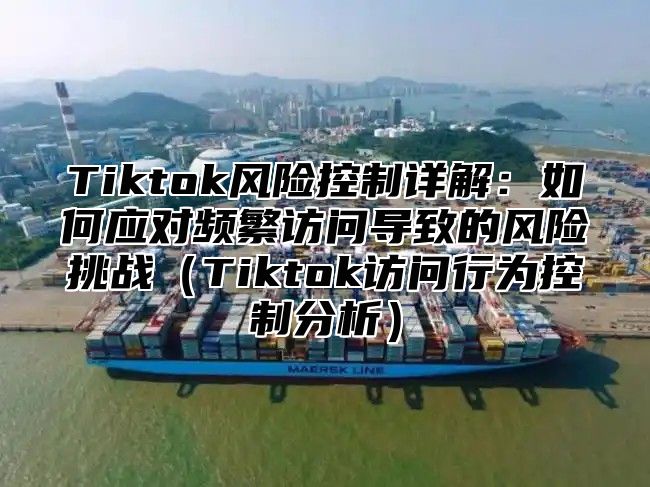 Tiktok风险控制详解：如何应对频繁访问导致的风险挑战Tiktok访问行为控制分析