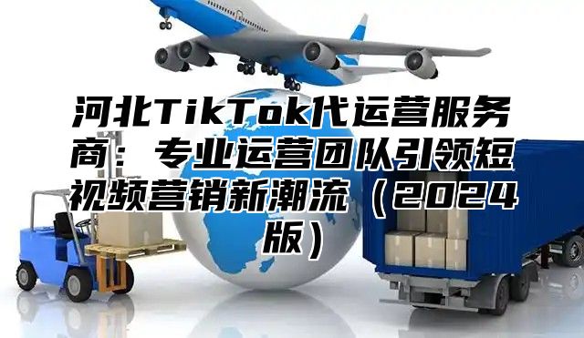 河北TikTok代运营服务商：专业运营团队引领短视频营销新潮流2025版
