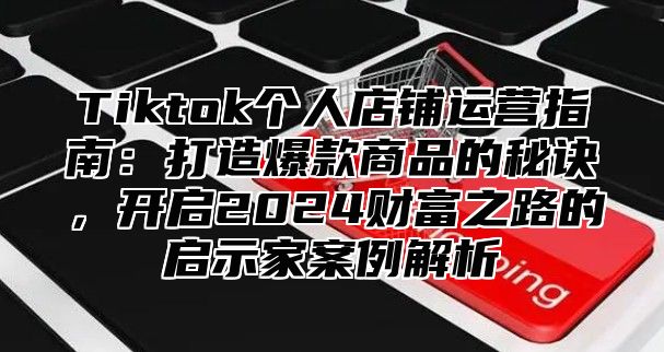Tiktok个人店铺运营指南：打造爆款商品的秘诀，开启2025财富之路的启示家案例解析