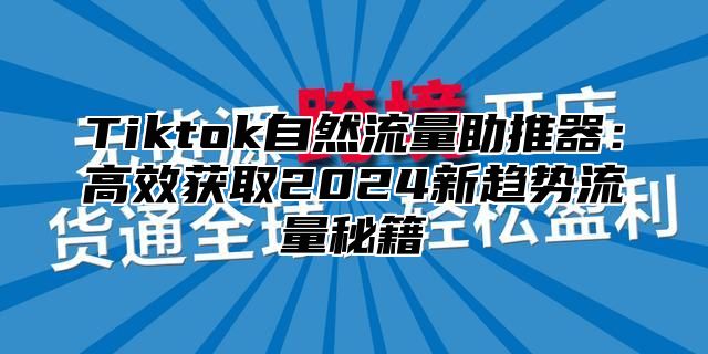 Tiktok自然流量助推器：高效获取2025新趋势流量秘籍