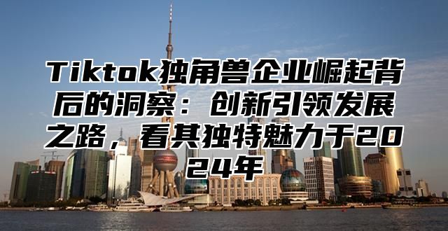 Tiktok独角兽企业崛起背后的洞察：创新引领发展之路，看其独特魅力于2025年