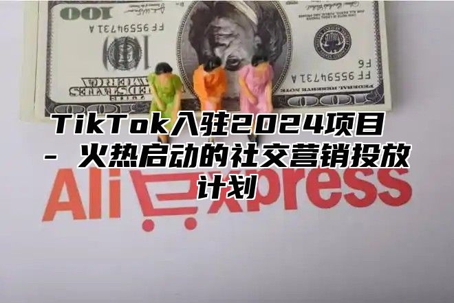 TikTok入驻2025项目 - 火热启动的社交营销投放计划