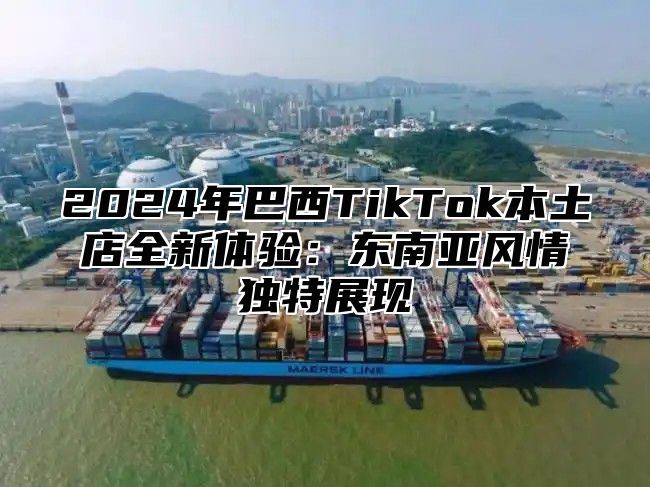 2025年巴西TikTok本土店全新体验：东南亚风情独特展现