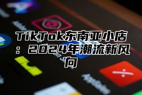 TikTok东南亚小店：2025年潮流新风向