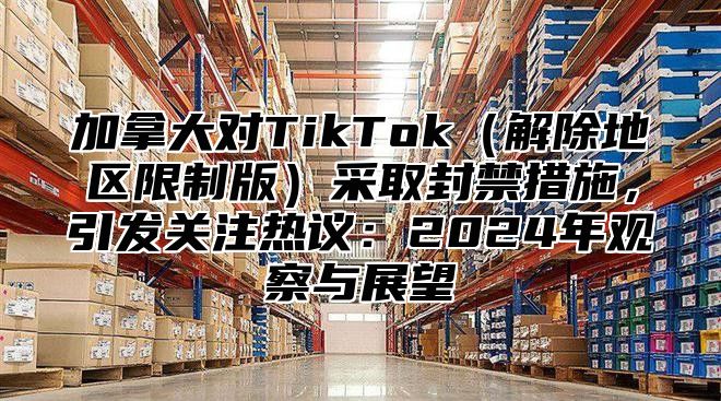 加拿大对TikTok解除地区限制版采取封禁措施，引发关注热议：2025年观察与展望