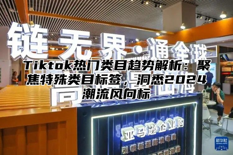 Tiktok热门类目趋势解析：聚焦特殊类目标签，洞悉2025潮流风向标