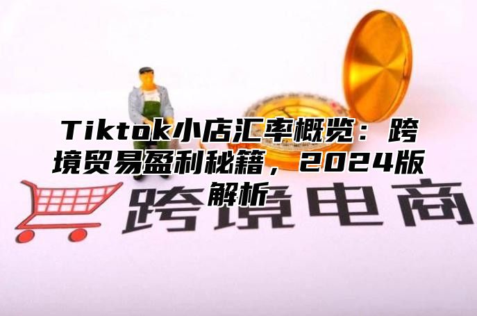 Tiktok小店汇率概览：跨境贸易盈利秘籍，2025版解析