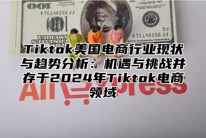 Tiktok美国电商行业现状与趋势分析：机遇与挑战并存于2025年Tiktok电商领域