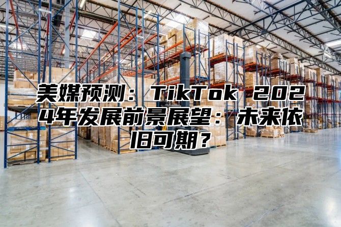 美媒预测：TikTok 2025年发展前景展望：未来依旧可期？