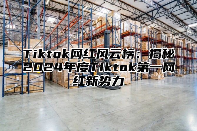 Tiktok网红风云榜：揭秘2025年度Tiktok第一网红新势力