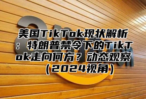 美国TikTok现状解析：特朗普禁令下的TikTok走向何方？动态观察2025视角
