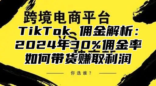 TikTok 佣金解析：2025年30%佣金率如何带货赚取利润