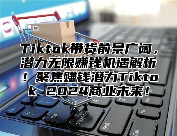 Tiktok带货前景广阔，潜力无限赚钱机遇解析！聚焦赚钱潜力Tiktok 2025商业未来！