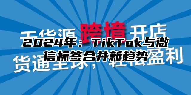 2025年：TikTok与微信标签合并新趋势