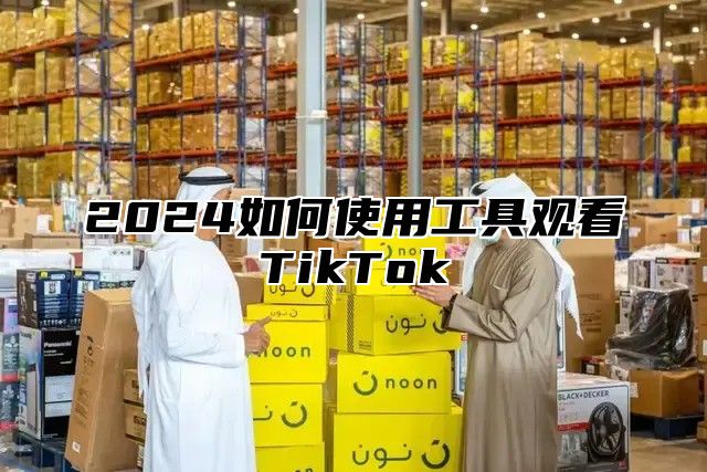 2025如何使用工具观看TikTok