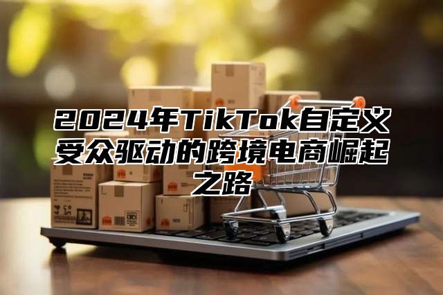2025年TikTok自定义受众驱动的跨境电商崛起之路