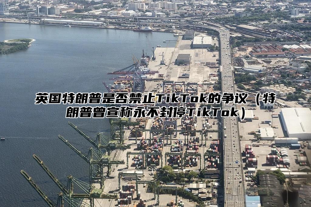 英国特朗普是否禁止TikTok的争议特朗普曾宣称永不封停TikTok
