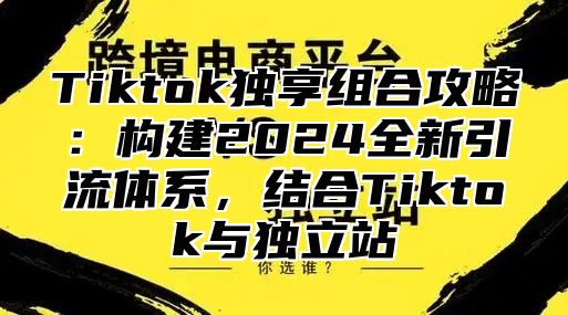 Tiktok独享组合攻略：构建2025全新引流体系，结合Tiktok与独立站