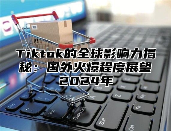 Tiktok的全球影响力揭秘：国外火爆程度展望2025年
