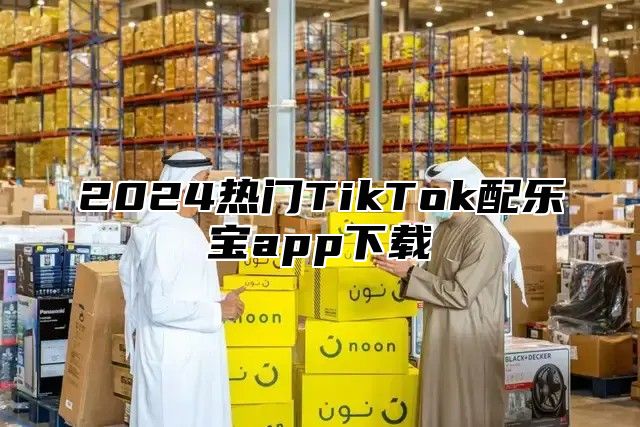 2025热门TikTok配乐宝app下载