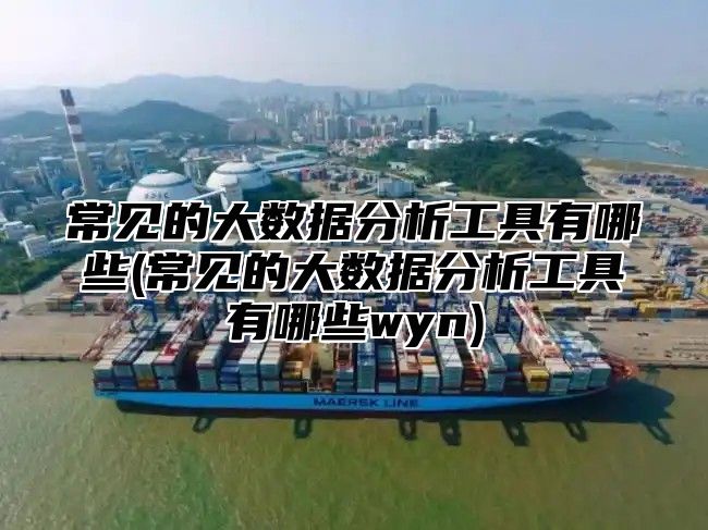 常见的大数据分析工具有哪些(常见的大数据分析工具有哪些wyn)