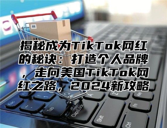 揭秘成为TikTok网红的秘诀：打造个人品牌，走向美国TikTok网红之路，2025新攻略