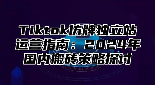 Tiktok仿牌独立站运营指南：2025年国内搬砖策略探讨