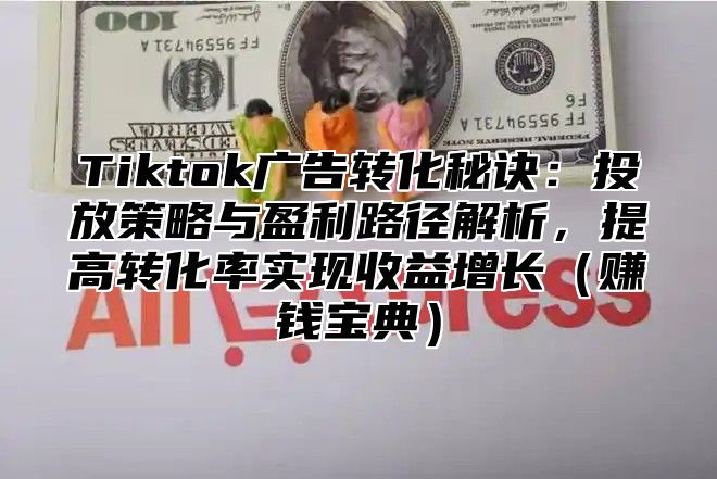 Tiktok广告转化秘诀：投放策略与盈利路径解析，提高转化率实现收益增长赚钱宝典