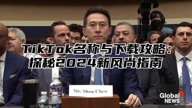 TikTok名称与下载攻略：探秘2025新风尚指南