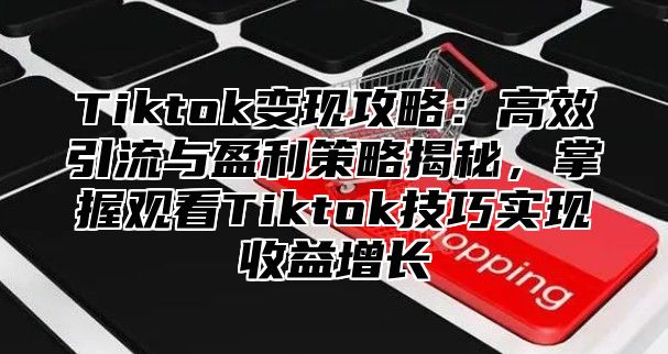 Tiktok变现攻略：高效引流与盈利策略揭秘，掌握观看Tiktok技巧实现收益增长