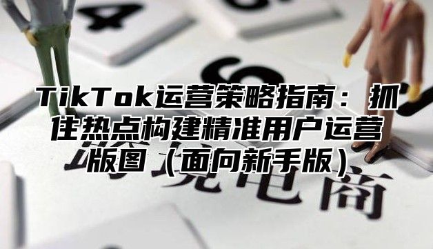 TikTok运营策略指南：抓住热点构建精准用户运营版图面向新手版
