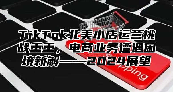 TikTok北美小店运营挑战重重，电商业务遭遇困境新解——2025展望