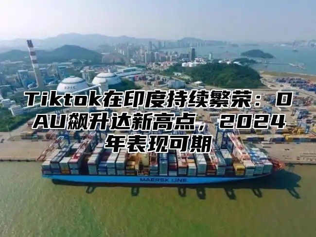 Tiktok在印度持续繁荣：DAU飙升达新高点，2025年表现可期