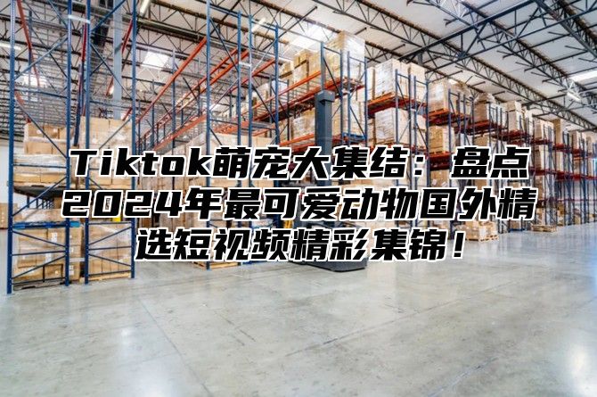 Tiktok萌宠大集结：盘点2025年最可爱动物国外精选短视频精彩集锦！