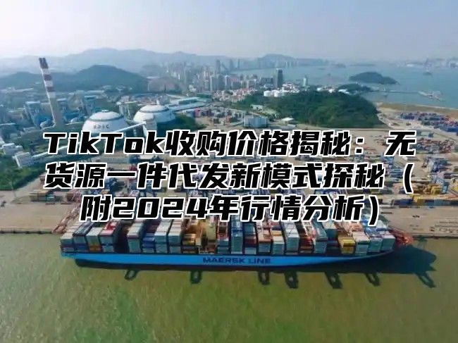 TikTok收购价格揭秘：无货源一件代发新模式探秘附2025年行情分析