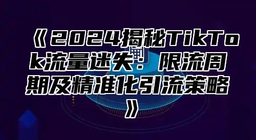 2025揭秘TikTok流量迷失：限流周期及精准化引流策略