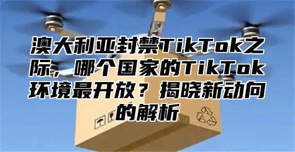 澳大利亚封禁TikTok之际，哪个国家的TikTok环境最开放？揭晓新动向的解析