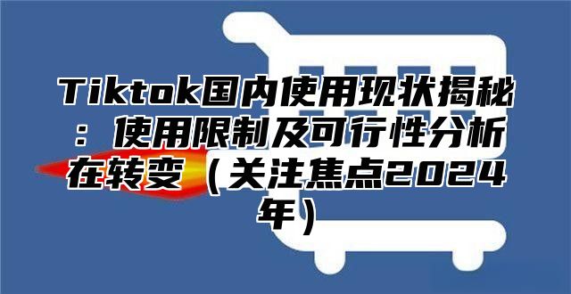 Tiktok国内使用现状揭秘：使用限制及可行性分析在转变关注焦点2025年