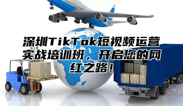 深圳TikTok短视频运营实战培训班，开启您的网红之路！