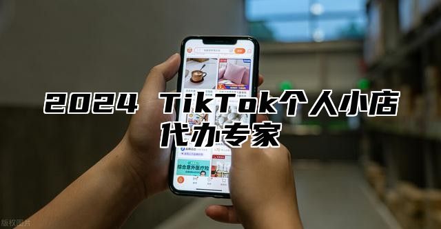 2025 TikTok个人小店代办专家