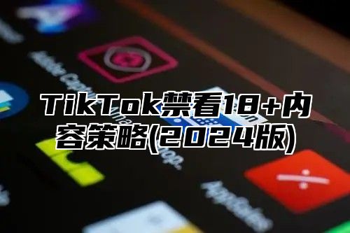 TikTok禁看18+内容策略(2025版)