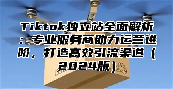 Tiktok独立站全面解析：专业服务商助力运营进阶，打造高效引流渠道2025版