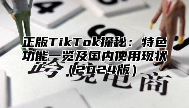 正版TikTok探秘：特色功能一览及国内使用现状2025版