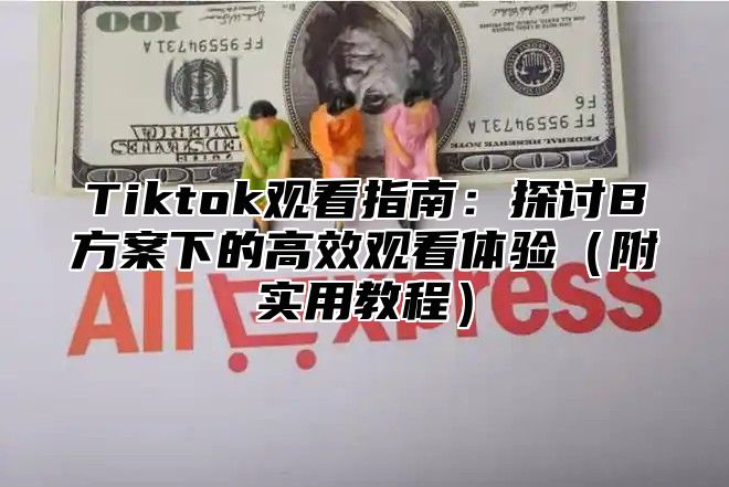 Tiktok观看指南：探讨B方案下的高效观看体验附实用教程