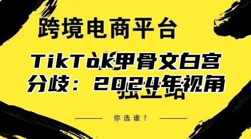 TikTok甲骨文白宫分歧：2025年视角