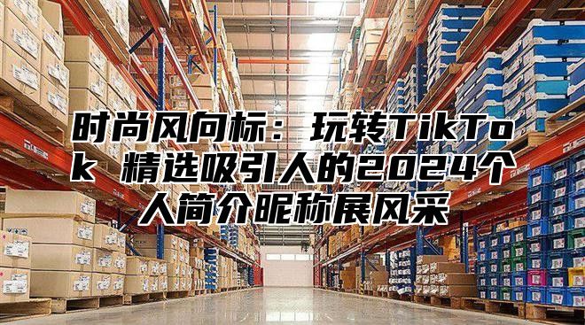 时尚风向标：玩转TikTok 精选吸引人的2025个人简介昵称展风采